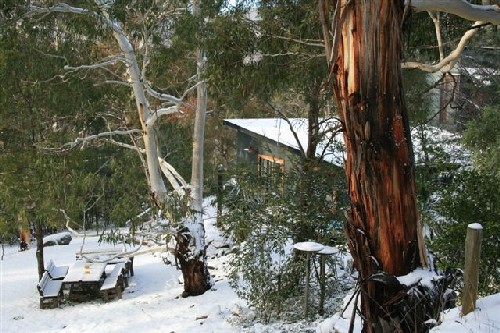 snow over bungalow